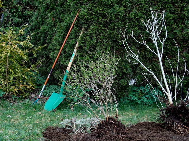gartenpflege